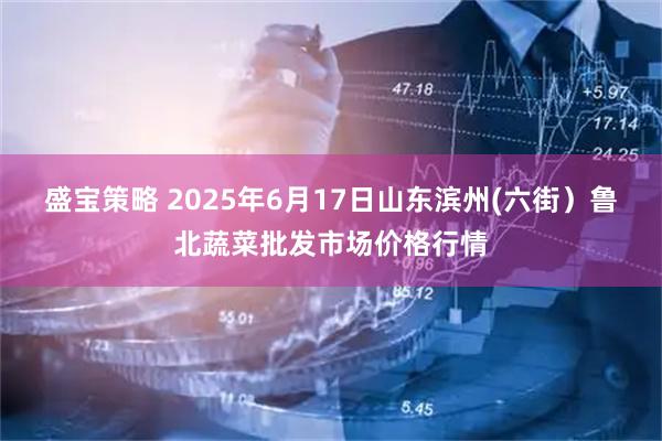 盛宝策略 2025年6月17日山东滨州(六街）鲁北蔬菜批发市场价格行情