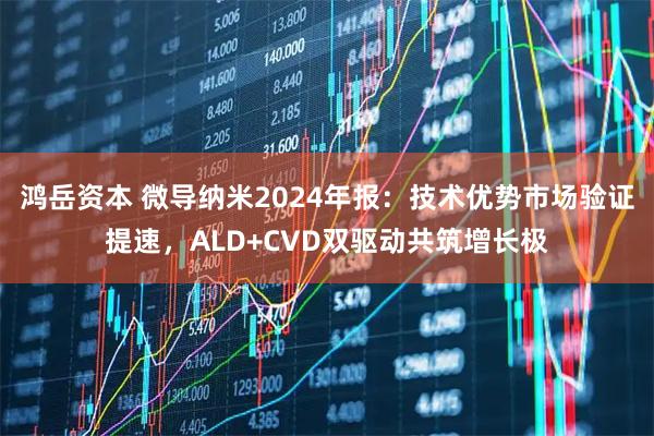 鸿岳资本 微导纳米2024年报：技术优势市场验证提速，ALD+CVD双驱动共筑增长极