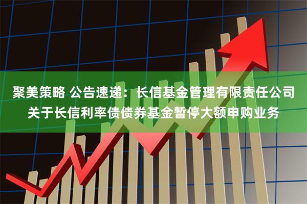 聚美策略 公告速递：长信基金管理有限责任公司关于长信利率债债券基金暂停大额申购业务